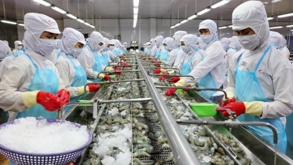 Proposal to abolish quotas on Vietnamese shrimp imported into South Korea